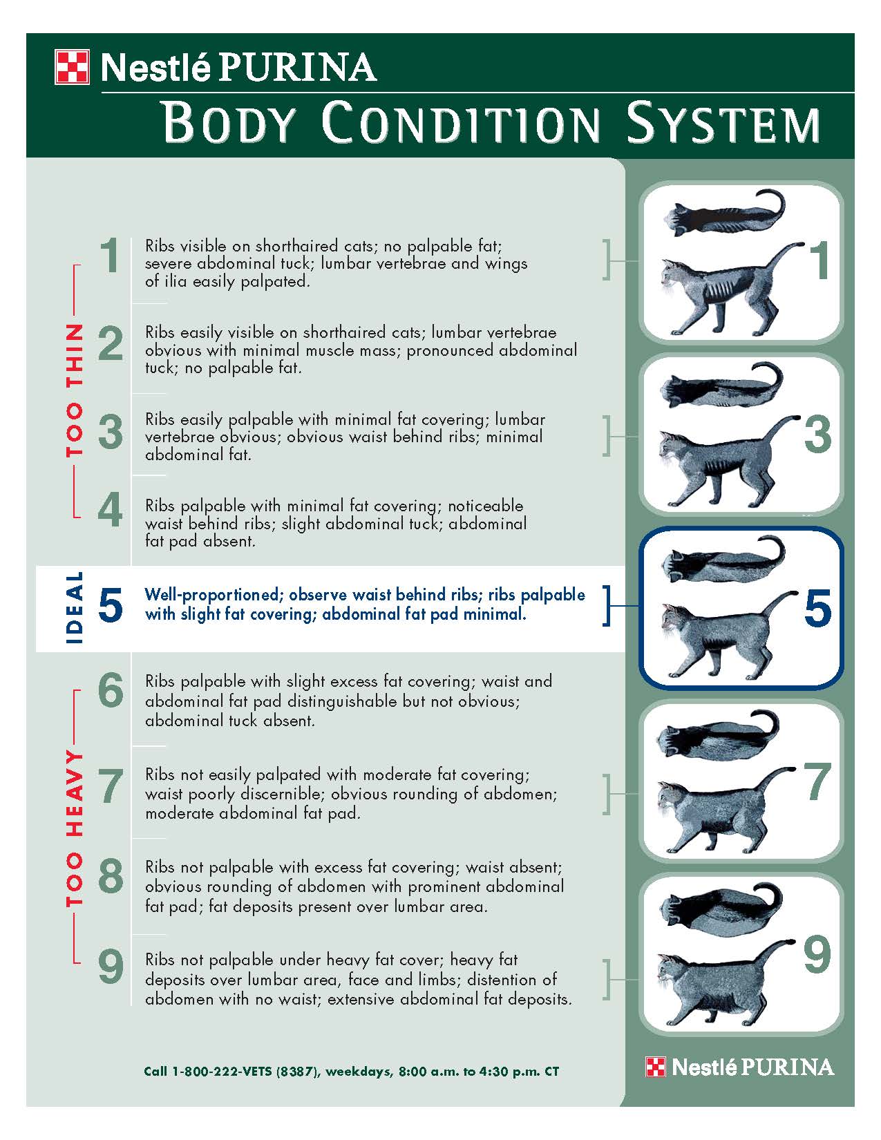 nestle_body_condition_scale_Page_1