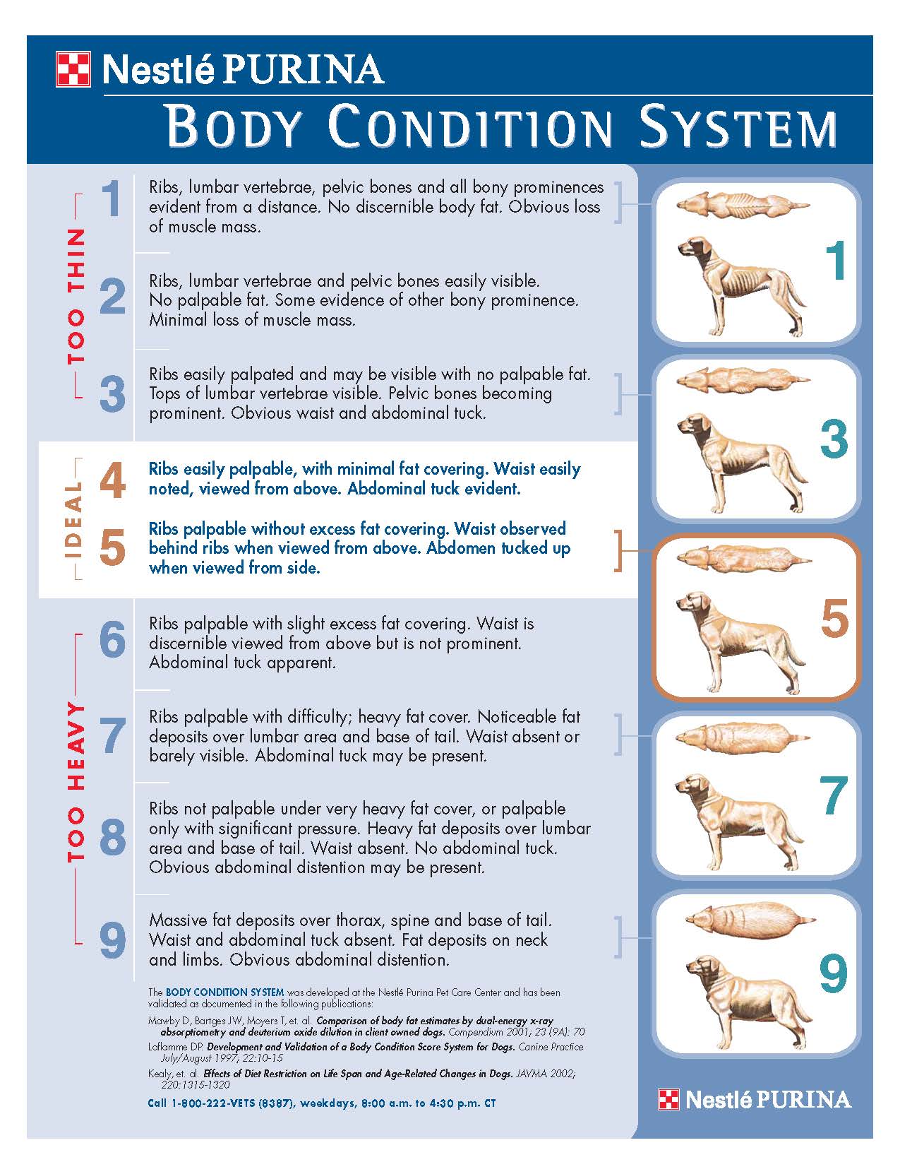 nestle_body_condition_scale_Page_2