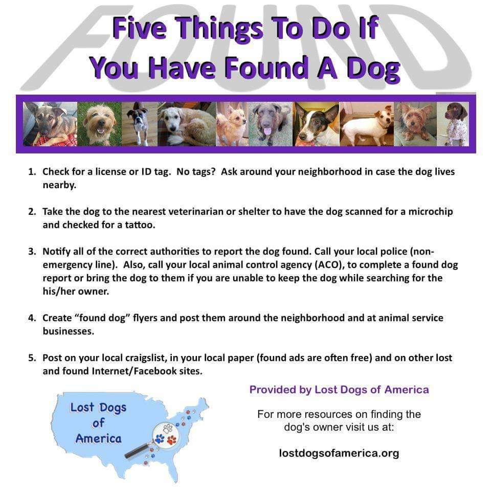 facebook_1615397747014_6775469231892473518